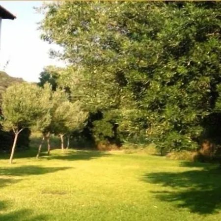 Petradaki Daire