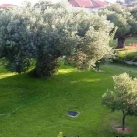 Petradaki * Mola Kalyva